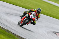 PJ-Motorsport-Photography-2020;anglesey;brands-hatch;cadwell-park;croft;donington-park;enduro-digital-images;event-digital-images;eventdigitalimages;mallory;no-limits;oulton-park;peter-wileman-photography;racing-digital-images;silverstone;snetterton;trackday-digital-images;trackday-photos;vmcc-banbury-run;welsh-2-day-enduro
